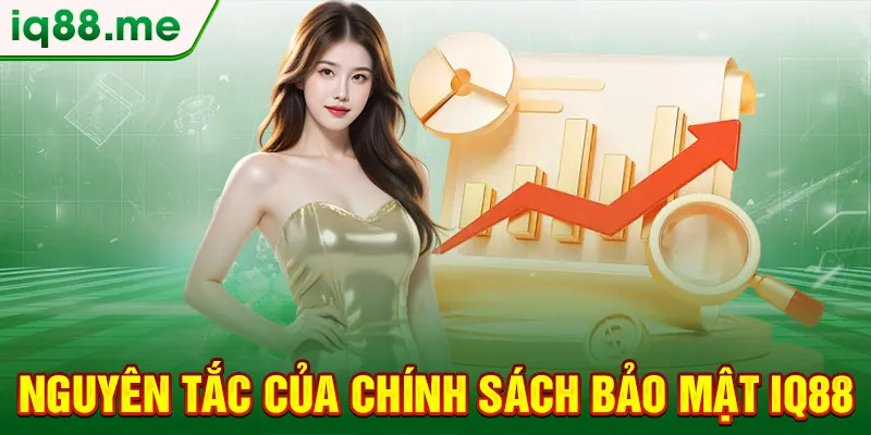 nguyen-tac-cua-chinh-sach-bao-mat-iq88