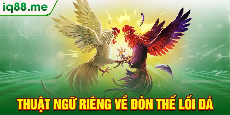 thuat-ngu-rieng-ve-don-the-loi-da