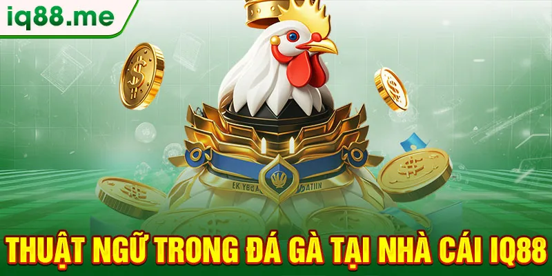 thuat-ngu-trong-da-ga-tai-nha-cai-iq88