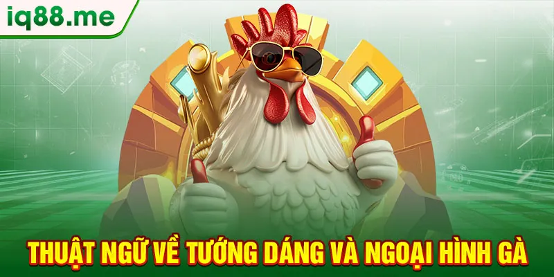 thuat-ngu-ve-tuong-dang-va-ngoai-hinh-ga