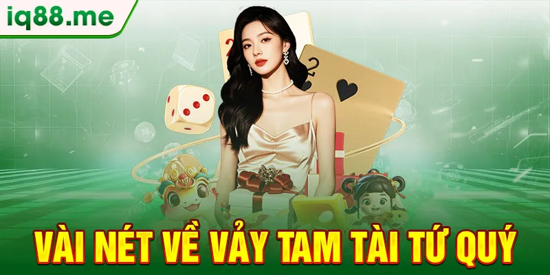 vai-net-ve-vay-tam-tai-tu-quy